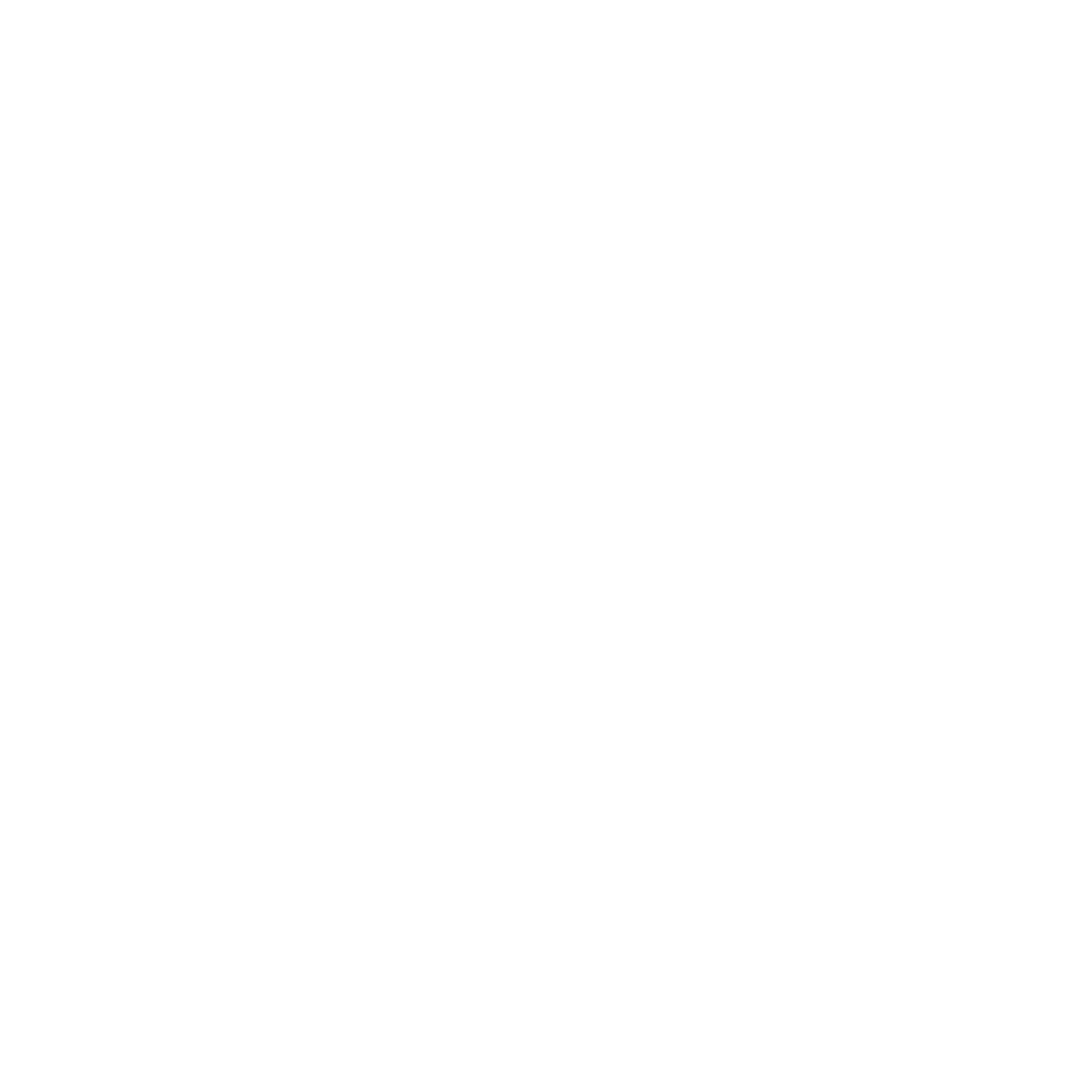 Step section